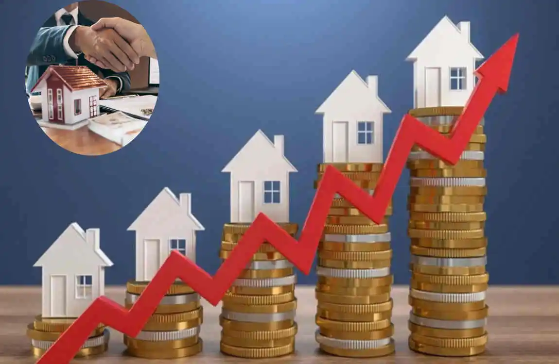 contribution real estate